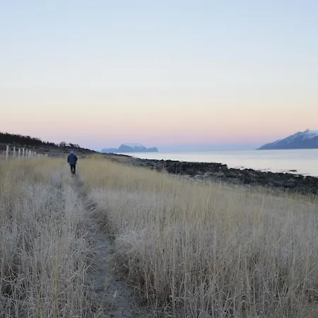 Holiday park Xlyngen
