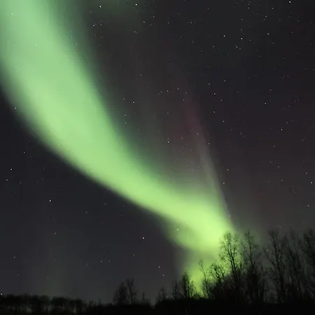 Holiday park Xlyngen *