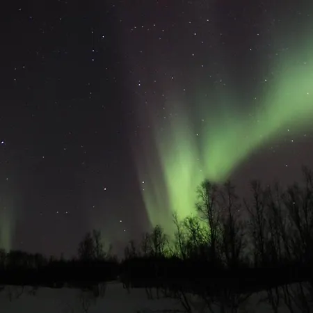 Xlyngen *