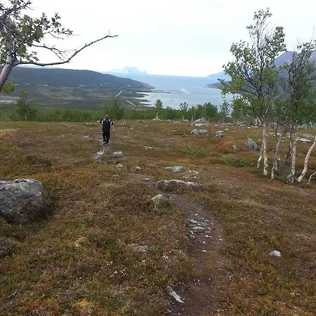 Xlyngen *