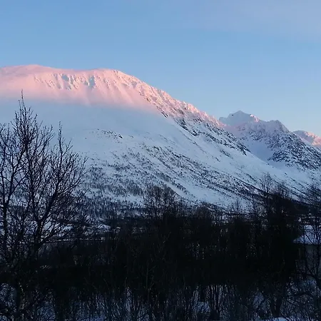 Xlyngen Holiday park